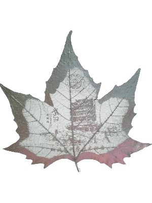 彩色葉雕系列