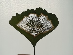 logo系列葉雕