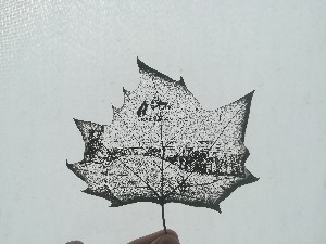 鞍山激光葉雕