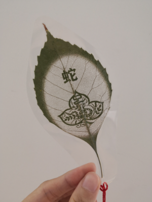 屬相書簽