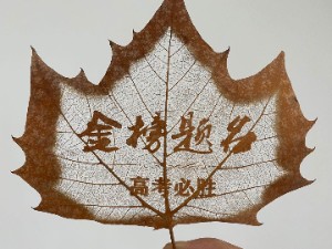 文字系列葉雕