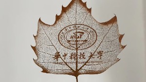 logo系列葉雕
